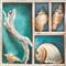 Collection of Memories I Poster Print by Ted Broome - Item # VARPDX1BR3893